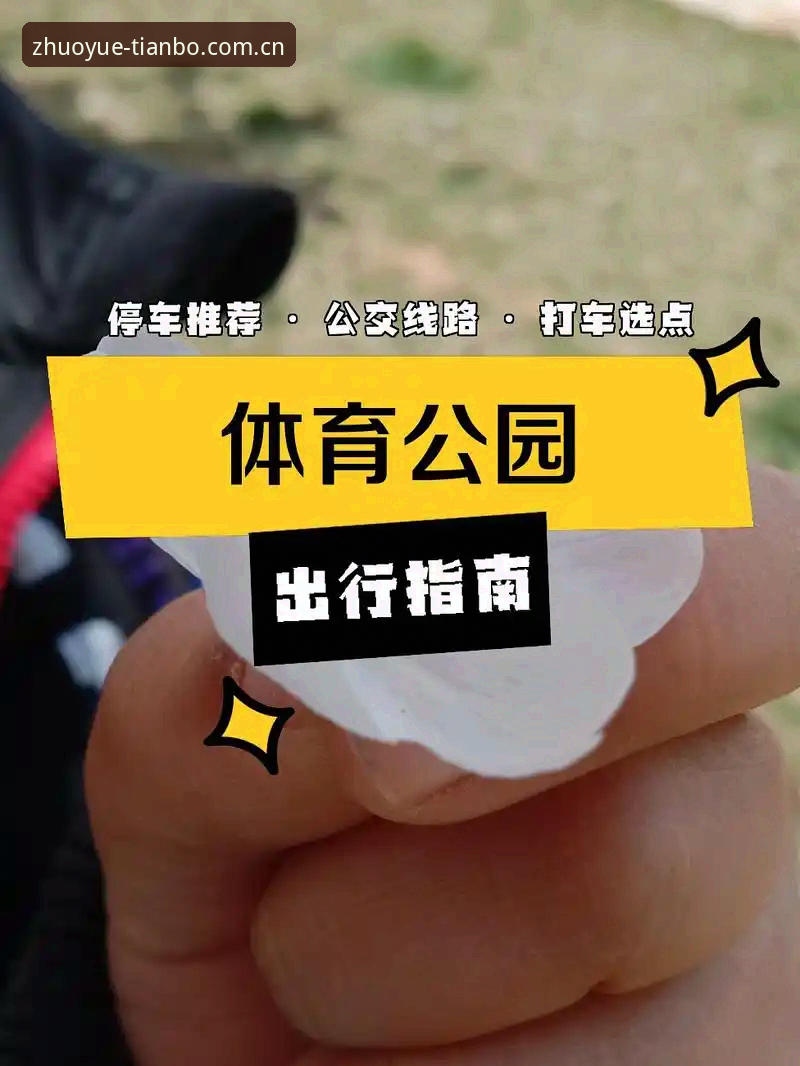 天博全站app电脑登录 天博体育平台电脑登录全攻略:从下载到体验的完整指南